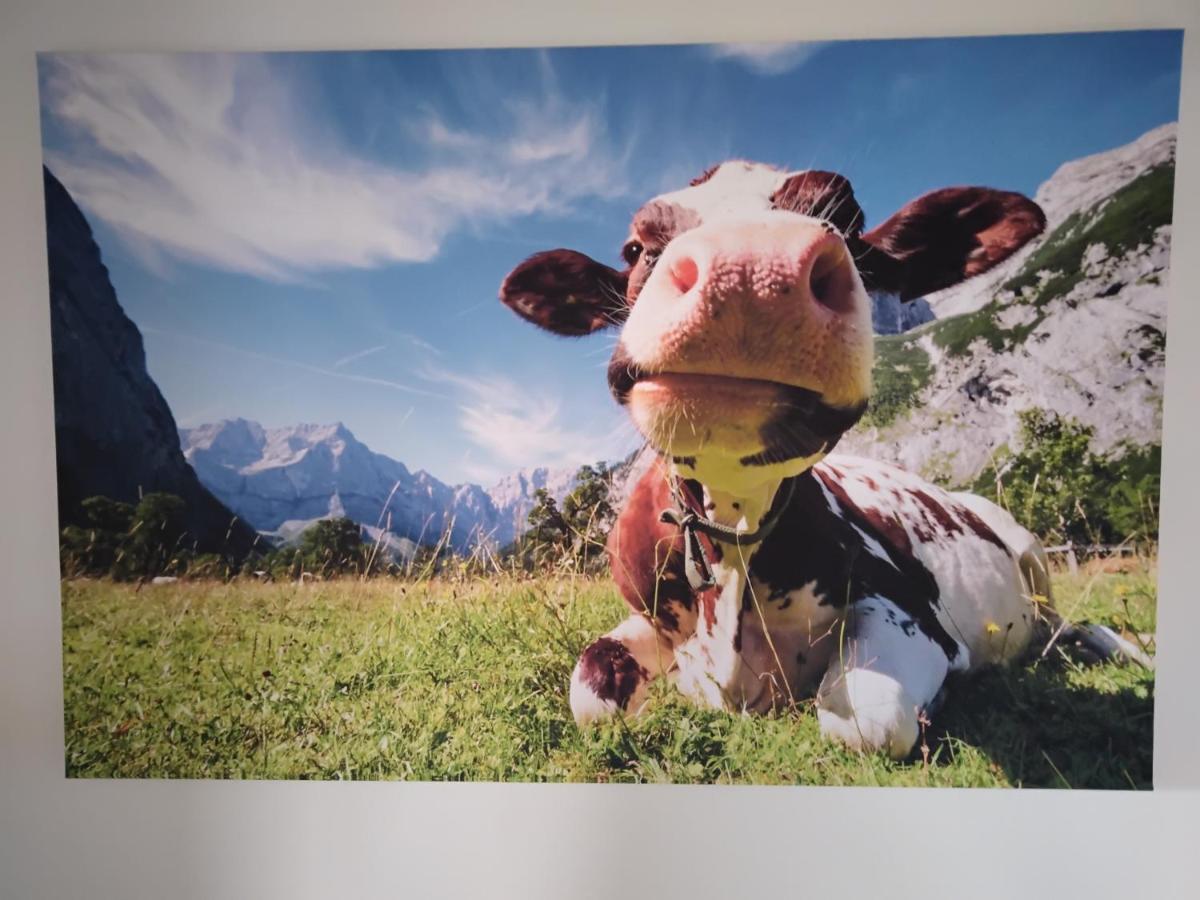 Zuhause In Hofs ,Leutkirch Im Allgaeu Zewnętrze zdjęcie